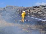 DSC_0308 - Pip McGowan.JPG